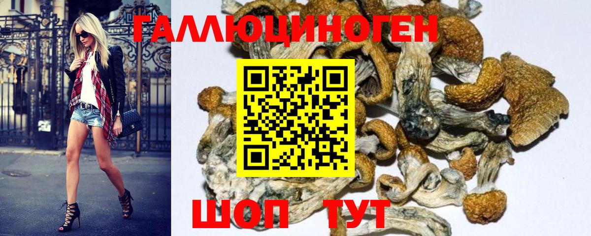 Галлюциногенные грибы GOLDEN TEACHER Балтийск