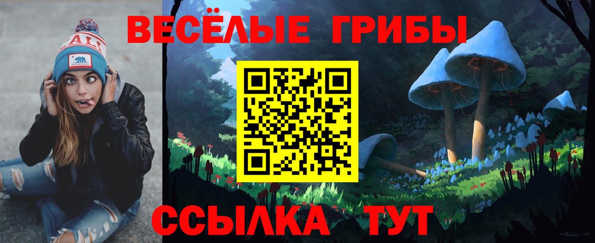 Балтийск  Псилоцибиновые грибы мухоморы  Вход с VPN 